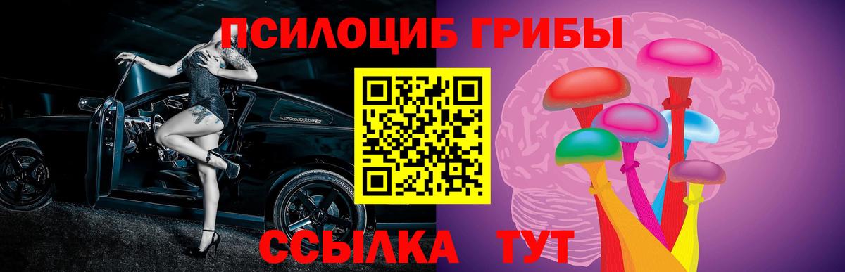 Псилоцибиновые грибы ЛСД  Псилоцибиновые грибы GOLDEN TEACHER  Салават  Вход с VPN 